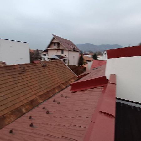 Old Town Studio Apartments Baia Mare Buitenkant foto