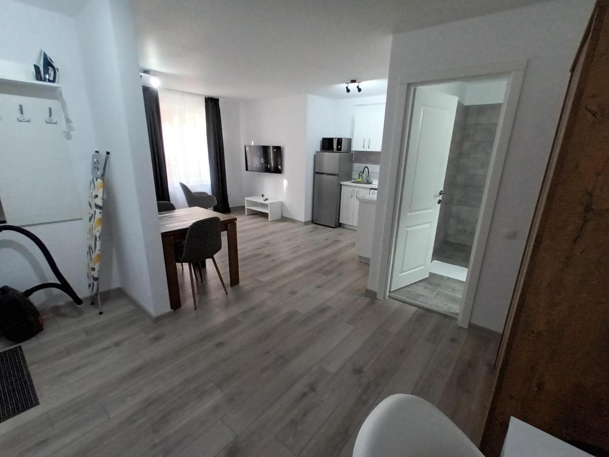 Old Town Studio Apartments Baia Mare Buitenkant foto
