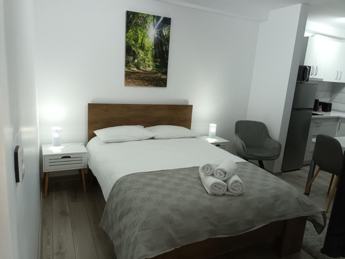 Old Town Studio Apartments Baia Mare Buitenkant foto