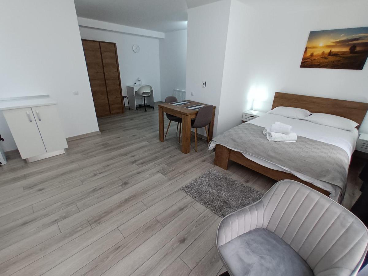 Old Town Studio Apartments Baia Mare Buitenkant foto
