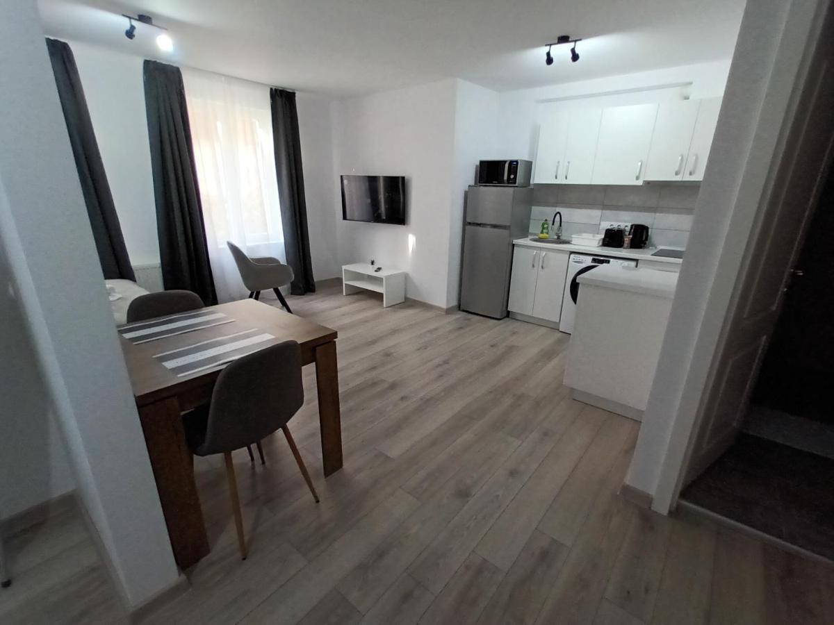 Old Town Studio Apartments Baia Mare Buitenkant foto
