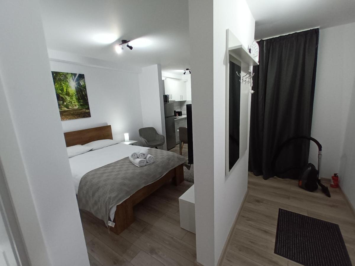 Old Town Studio Apartments Baia Mare Buitenkant foto
